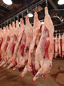 Premium Meat Trading